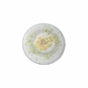 Gold Plate 2