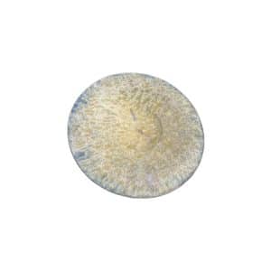 Gold Plate 3